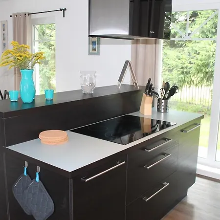 Holiday home De Niege Leive Born